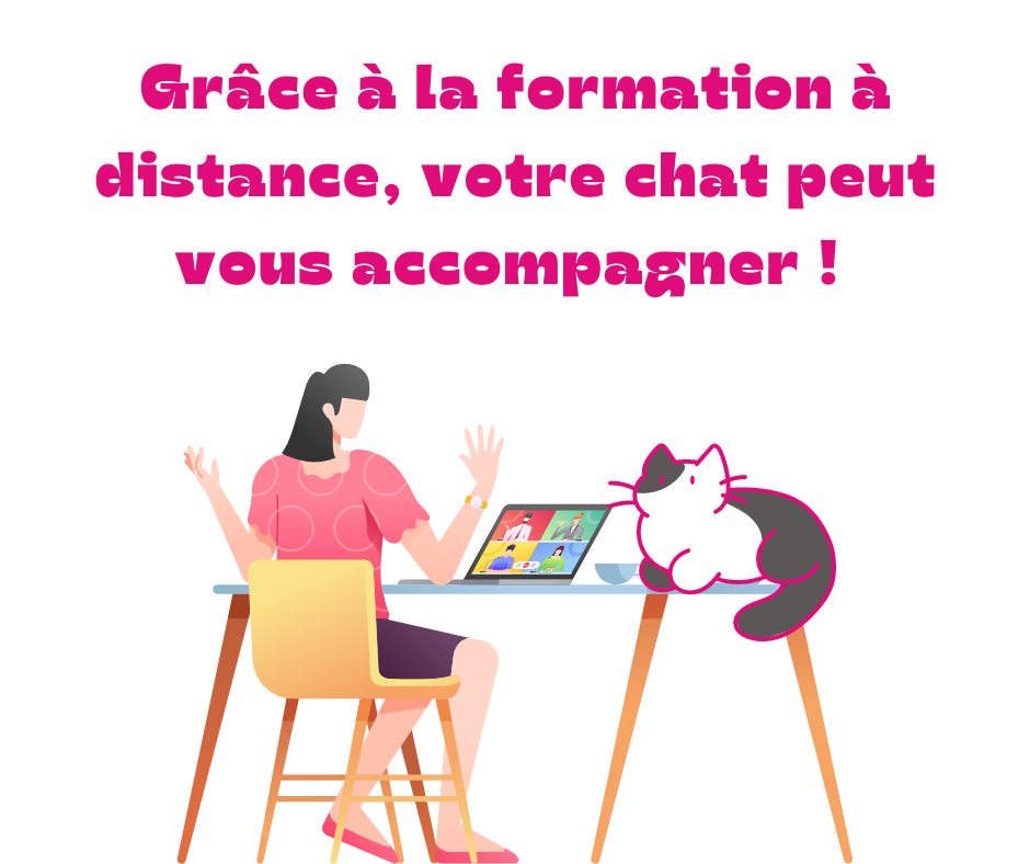 formation à distance