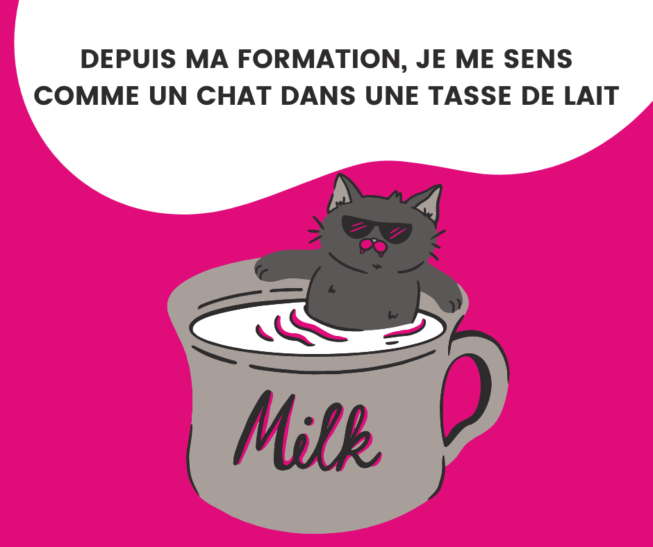 formation syndrome de limposteur
