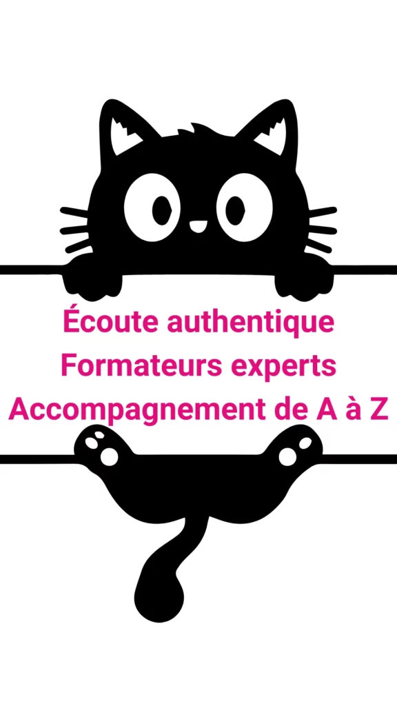 formation professionnelle